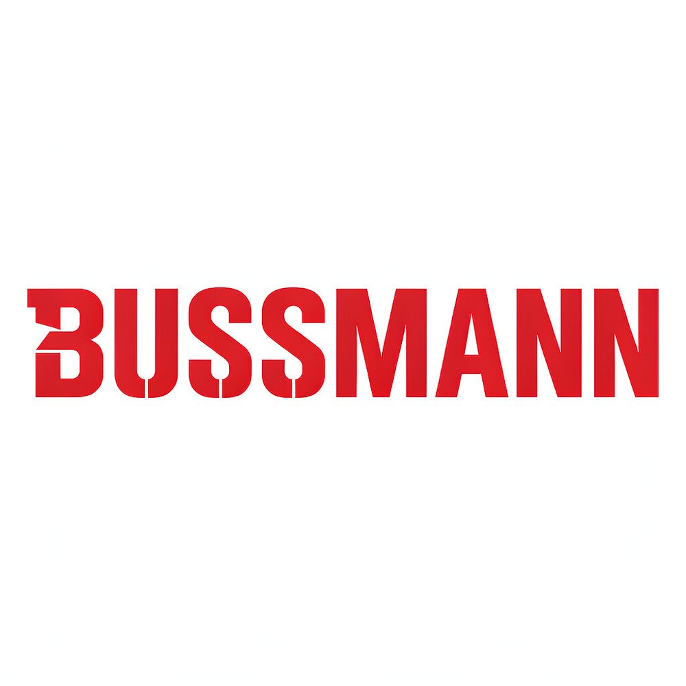 巴斯曼（Bussmann）